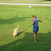 Picture 019